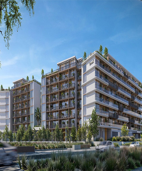 Ashley Hills By Townx Real Estate